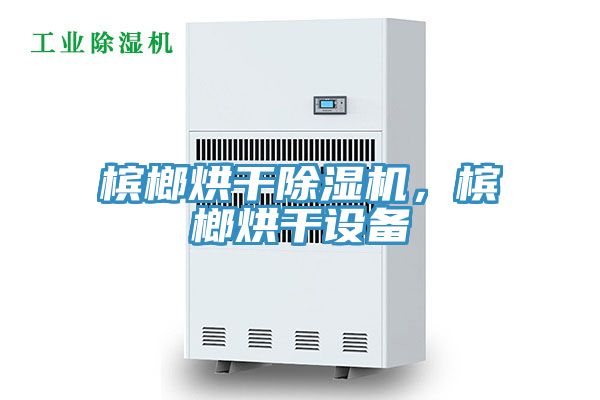 檳榔烘干除濕機(jī)，檳榔烘干設(shè)備