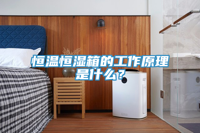 恒溫恒濕箱的工作原理是什么？