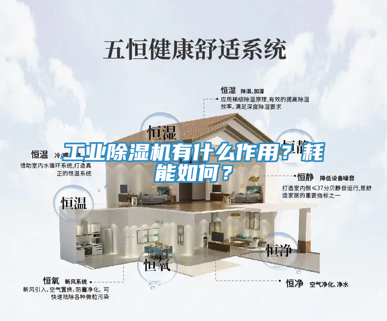 工業(yè)除濕機(jī)有什么作用？耗能如何？