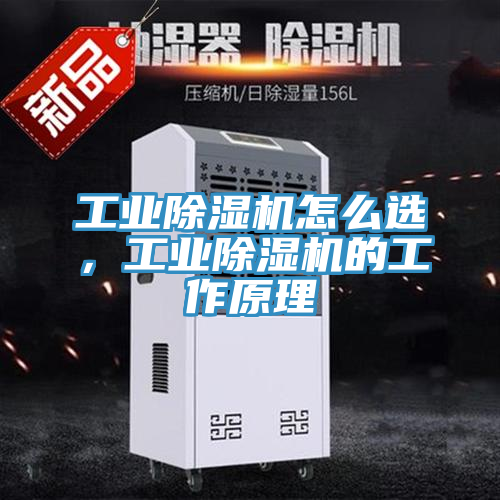 工業(yè)除濕機怎么選，工業(yè)除濕機的工作原理