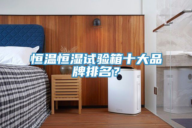 恒溫恒濕試驗箱十大品牌排名？