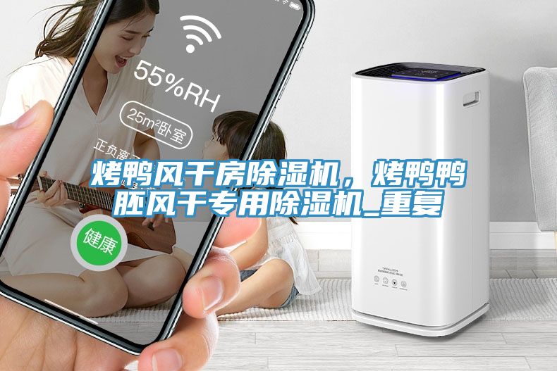 烤鴨風(fēng)干房除濕機(jī)，烤鴨鴨胚風(fēng)干專(zhuān)用除濕機(jī)_重復(fù)