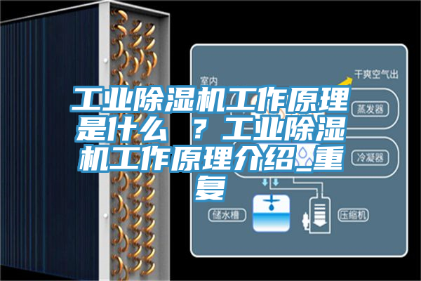 工業(yè)除濕機工作原理是什么 ？工業(yè)除濕機工作原理介紹_重復(fù)
