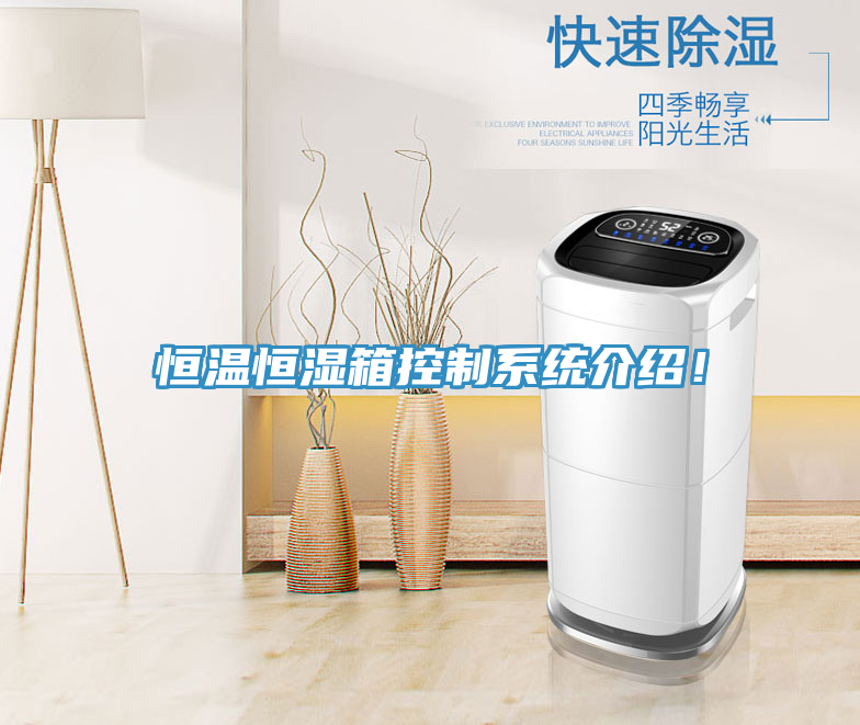 恒溫恒濕箱控制系統(tǒng)介紹！