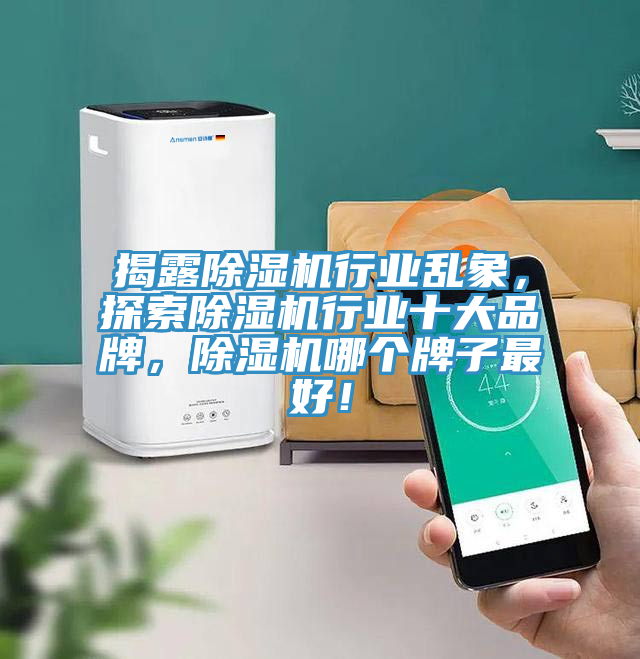 揭露除濕機(jī)行業(yè)亂象，探索除濕機(jī)行業(yè)十大品牌，除濕機(jī)哪個(gè)牌子最好！