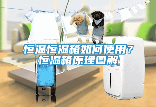 恒溫恒濕箱如何使用？恒濕箱原理圖解