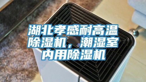 湖北孝感耐高溫除濕機(jī)，潮濕室內(nèi)用除濕機(jī)