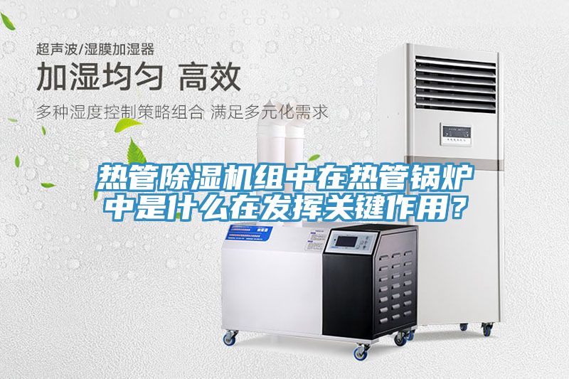 熱管除濕機(jī)組中在熱管鍋爐中是什么在發(fā)揮關(guān)鍵作用？