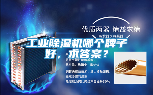 工業(yè)除濕機(jī)哪個牌子好，求答案？