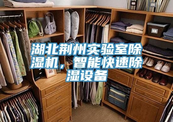 湖北荊州實(shí)驗(yàn)室除濕機(jī)，智能快速除濕設(shè)備