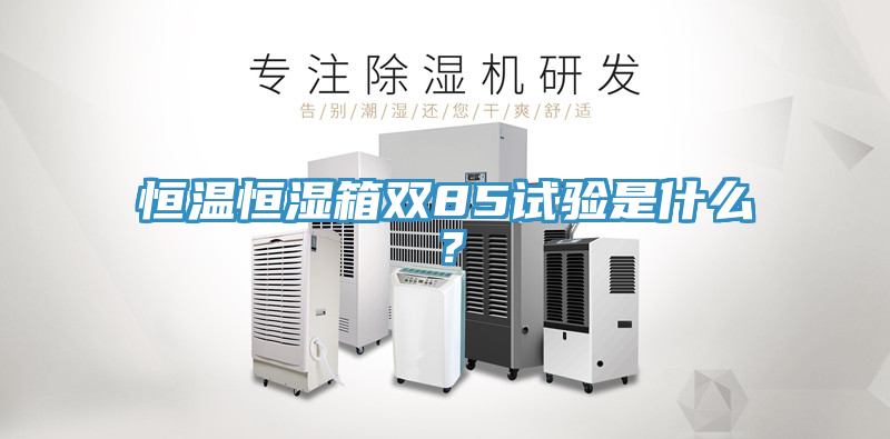 恒溫恒濕箱雙85試驗是什么？