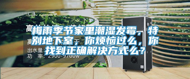 梅雨季節(jié)家里潮濕發(fā)霉，特別地下室，你煩惱過么，你找到正確解決方式么？