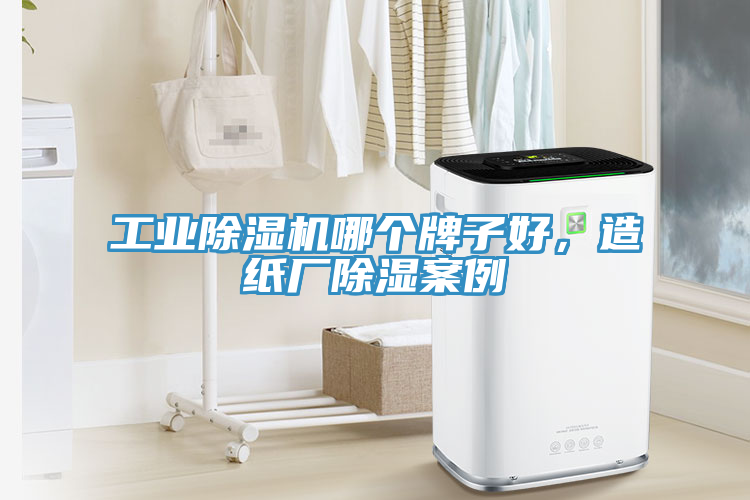 工業(yè)除濕機(jī)哪個(gè)牌子好，造紙廠除濕案例