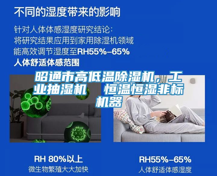 昭通市高低溫除濕機，工業(yè)抽濕機  恒溫恒濕非標機器