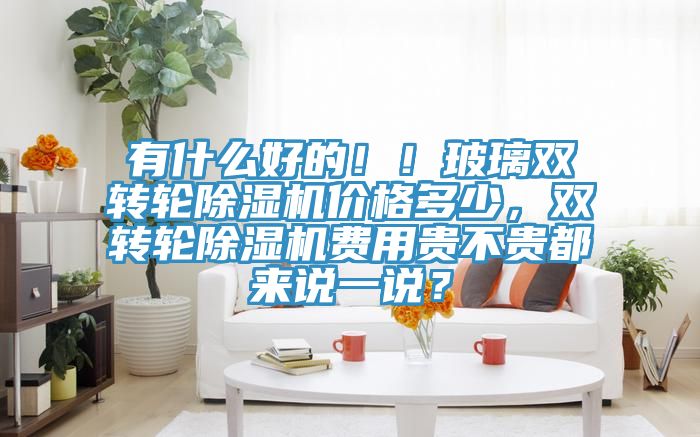 有什么好的??！玻璃雙轉(zhuǎn)輪除濕機(jī)價格多少，雙轉(zhuǎn)輪除濕機(jī)費用貴不貴都來說一說？
