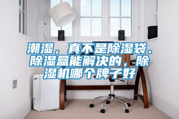 潮濕，真不是除濕袋、除濕盒能解決的，除濕機(jī)哪個(gè)牌子好