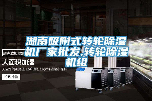 湖南吸附式轉輪除濕機廠家批發(fā),轉輪除濕機組