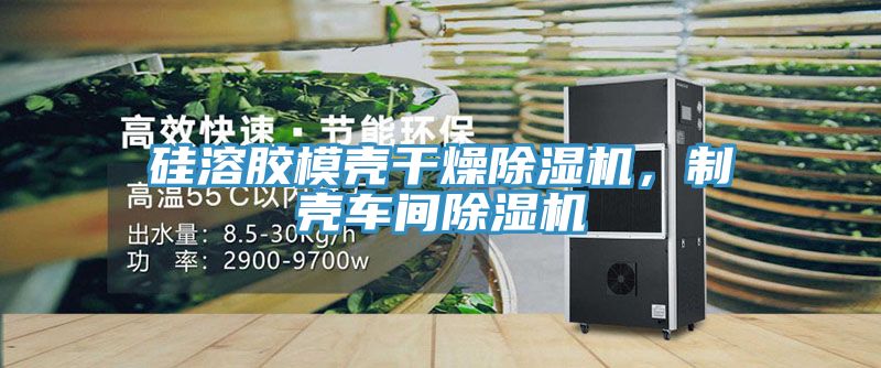 硅溶膠模殼干燥除濕機(jī)，制殼車(chē)間除濕機(jī)
