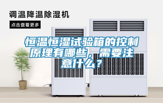 恒溫恒濕試驗(yàn)箱的控制原理有哪些，需要注意什么？