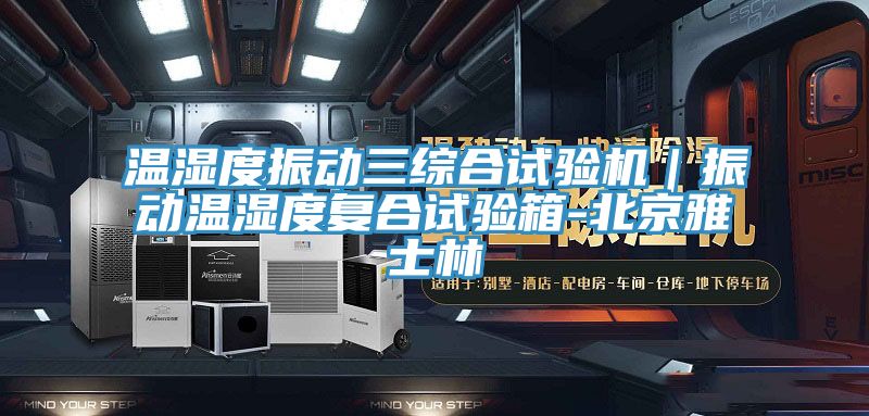 溫濕度振動三綜合試驗機|振動溫濕度復合試驗箱-北京雅士林