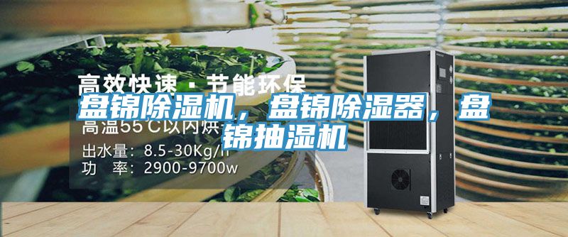 盤錦除濕機，盤錦除濕器，盤錦抽濕機