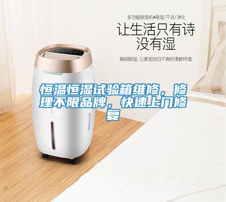 恒溫恒濕試驗箱維修，修理不限品牌，快速上門修復