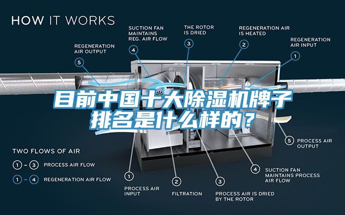目前中國十大除濕機牌子排名是什么樣的？
