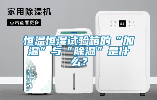 恒溫恒濕試驗箱的“加濕”與“除濕”是什么？