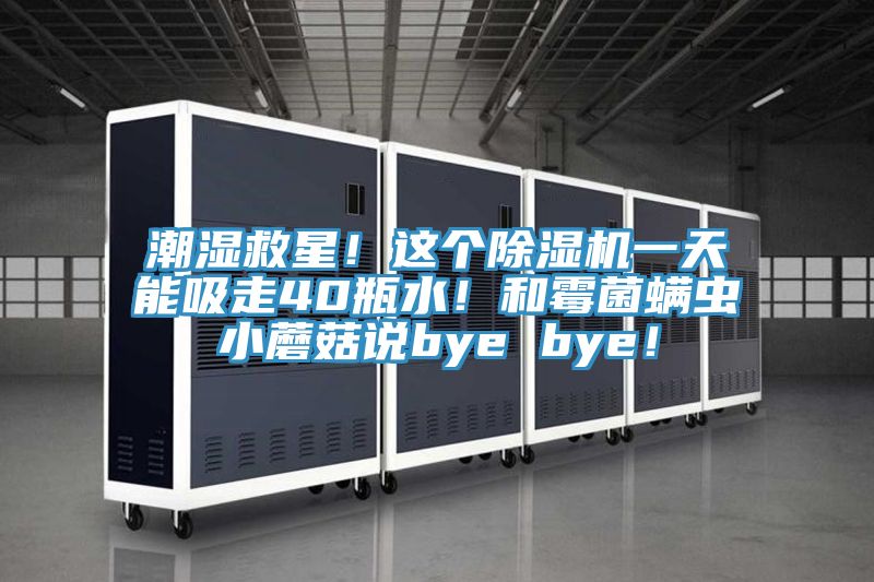潮濕救星！這個(gè)除濕機(jī)一天能吸走40瓶水！和霉菌螨蟲(chóng)小蘑菇說(shuō)bye bye！