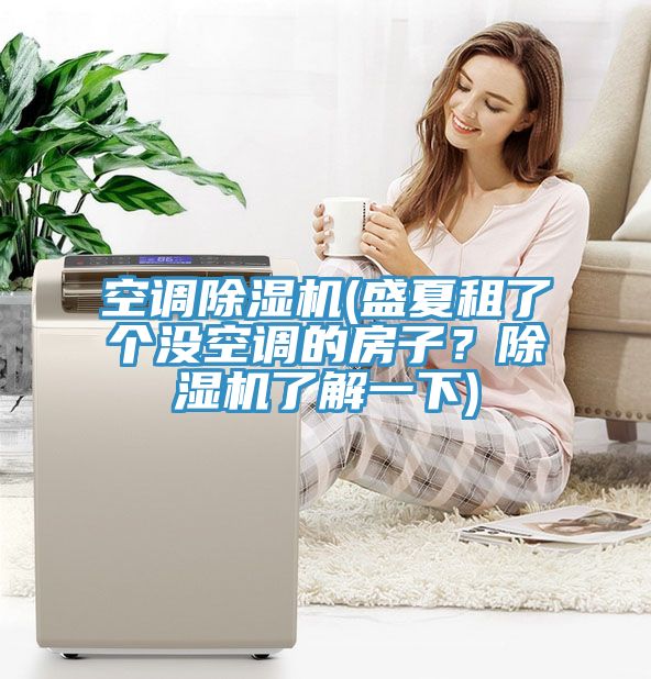 空調(diào)除濕機(jī)(盛夏租了個(gè)沒空調(diào)的房子？除濕機(jī)了解一下)