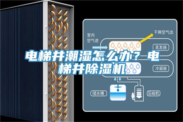 電梯井潮濕怎么辦？電梯井除濕機