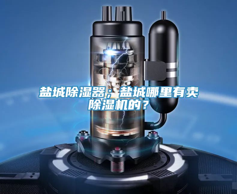 鹽城除濕器；鹽城哪里有賣除濕機的？