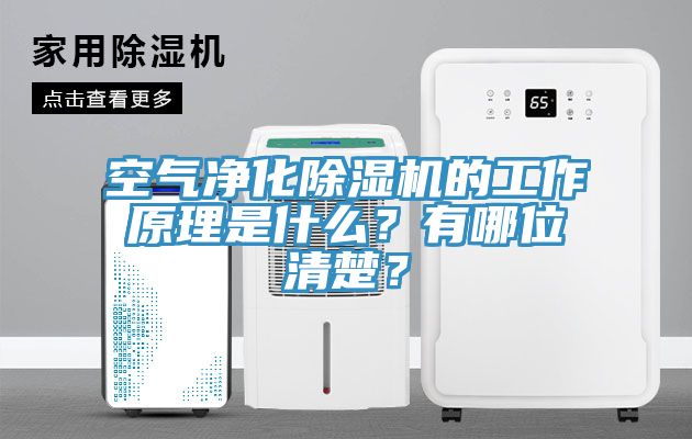 空氣凈化除濕機的工作原理是什么？有哪位清楚？