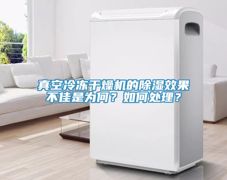 真空冷凍干燥機(jī)的除濕效果不佳是為何？如何處理？