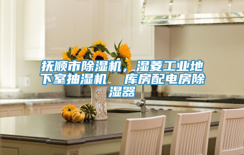 撫順市除濕機(jī)，濕菱工業(yè)地下室抽濕機(jī)  庫房配電房除濕器