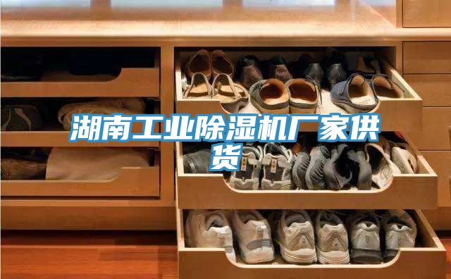 湖南工業(yè)除濕機(jī)廠(chǎng)家供貨