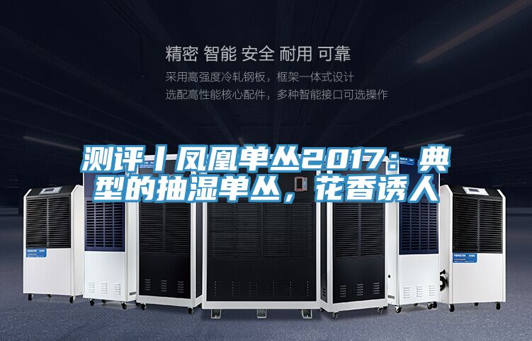 測評丨鳳凰單叢2017：典型的抽濕單叢，花香誘人