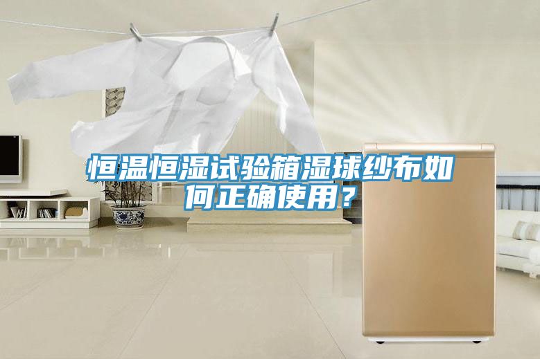 恒溫恒濕試驗箱濕球紗布如何正確使用？