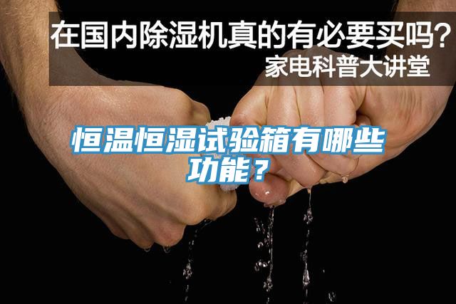 恒溫恒濕試驗箱有哪些功能？