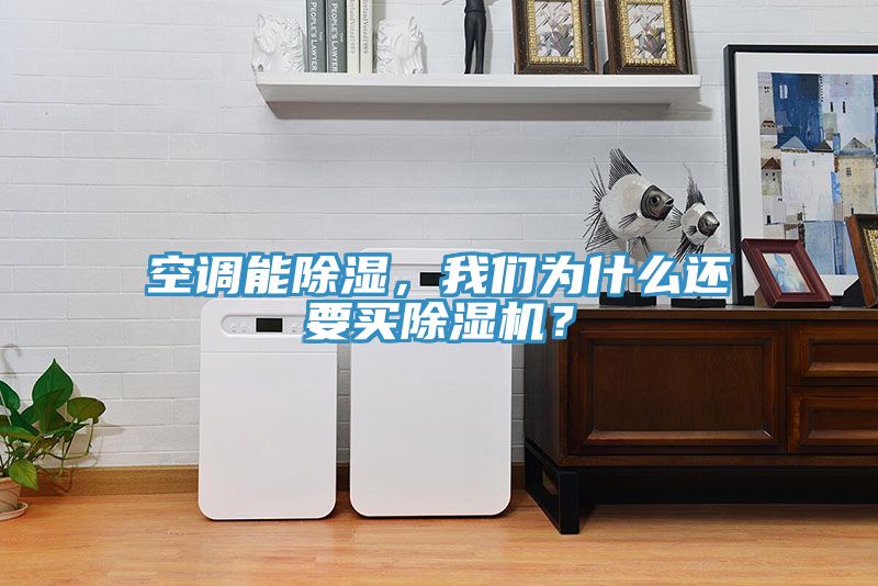 空調(diào)能除濕，我們?yōu)槭裁催€要買除濕機(jī)？