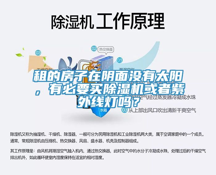 租的房子在陰面沒(méi)有太陽(yáng)，有必要買除濕機(jī)或者紫外線燈嗎？