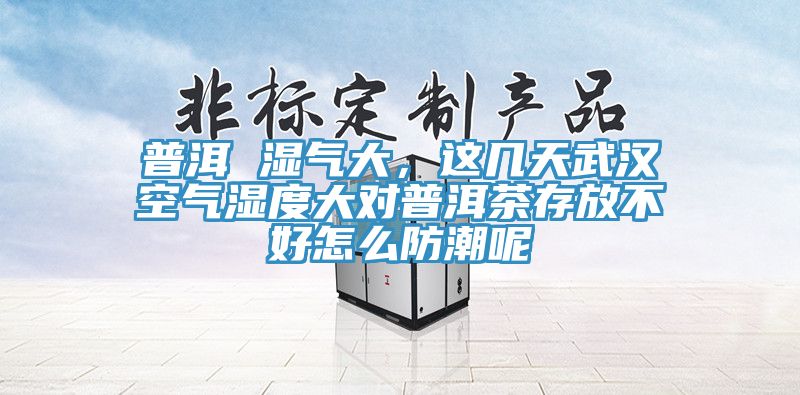 普洱 濕氣大，這幾天武漢空氣濕度大對普洱茶存放不好怎么防潮呢