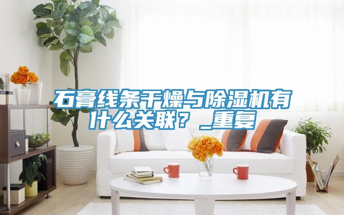 石膏線條干燥與除濕機(jī)有什么關(guān)聯(lián)？_重復(fù)