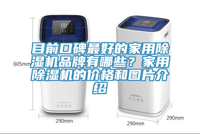 目前口碑最好的家用除濕機(jī)品牌有哪些？家用除濕機(jī)的價格和圖片介紹