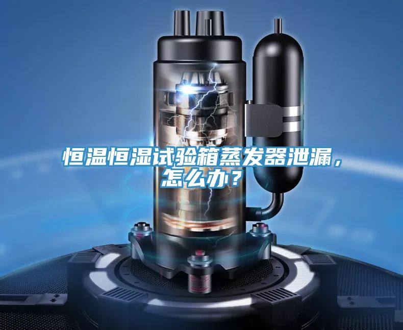 恒溫恒濕試驗(yàn)箱蒸發(fā)器泄漏，怎么辦？
