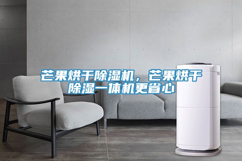 芒果烘干除濕機(jī)，芒果烘干除濕一體機(jī)更省心