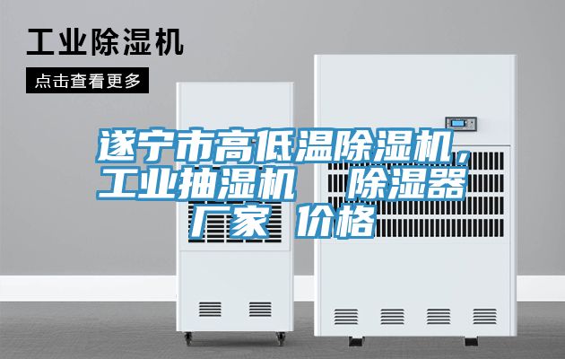 遂寧市高低溫除濕機(jī)，工業(yè)抽濕機(jī)  除濕器廠家 價(jià)格