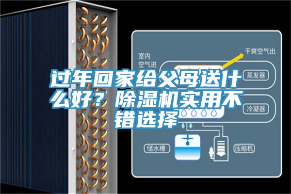 過年回家給父母送什么好？除濕機(jī)實用不錯選擇