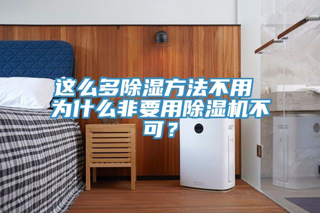 這么多除濕方法不用 為什么非要用除濕機(jī)不可？