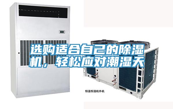 選購適合自己的除濕機，輕松應對潮濕天